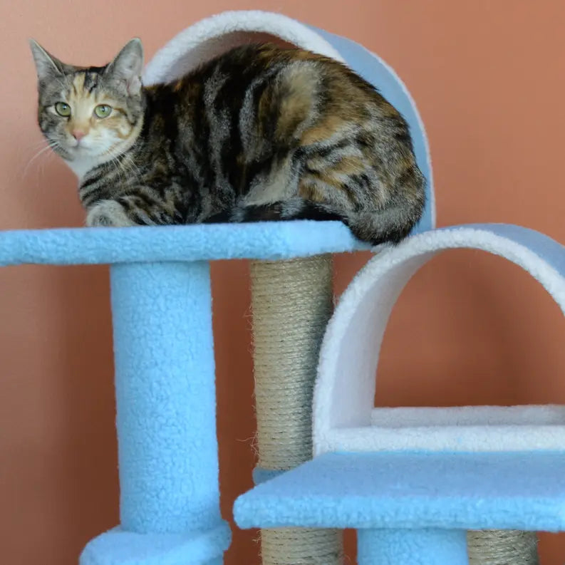 Real Wood 38" High Ivory Cat Step Stairs ramp, Cat Sratcher AeroMark