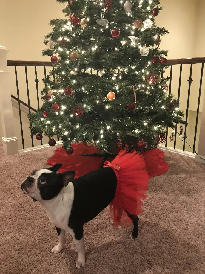 Red Christmas Dog Tutu Skirt (XXL) Tutu Joli