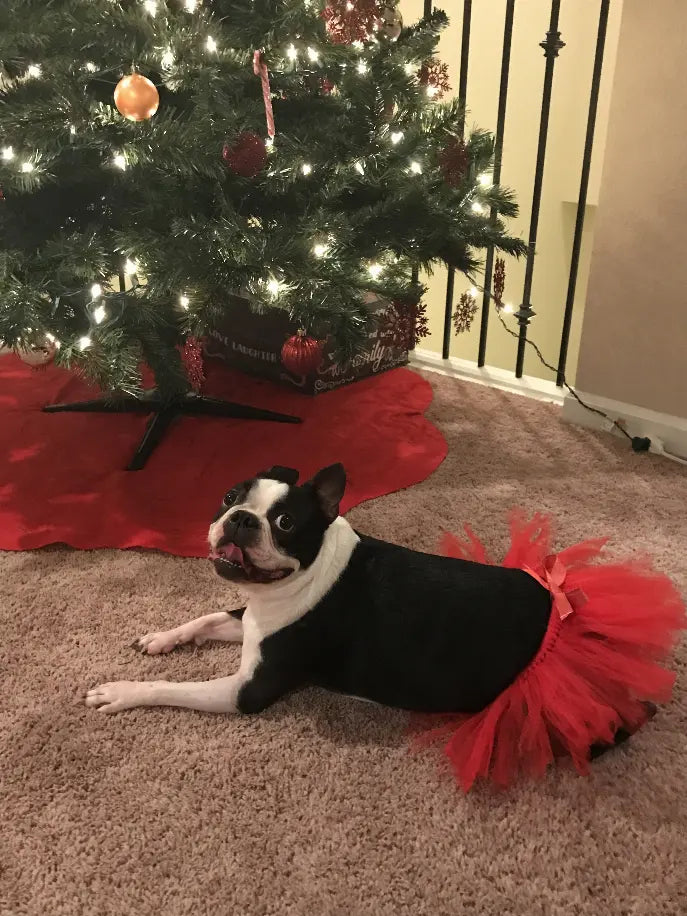 Red Christmas Dog Tutu Skirt (XXL) Tutu Joli