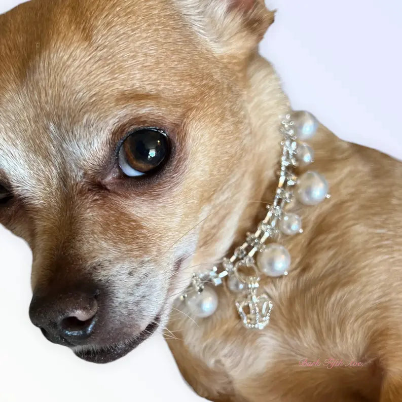Rhinestone & Pearl Crown Necklace Bark Fifth Avenue