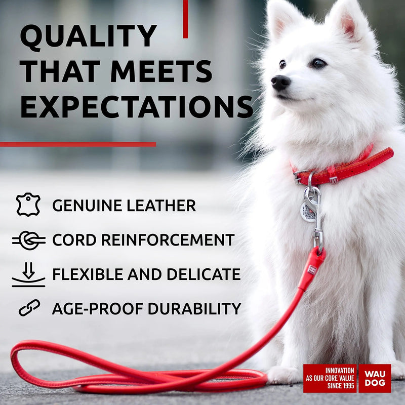 Rolled Leather Dog Leash 4Ft * 0.3 in for Small Medium and Large Dogs   Heavy Duty Leather Puppy Leash for Outdoor Walking Running Training   Strong Dog Leashes for Large Breed Dogs (Red) Waudog