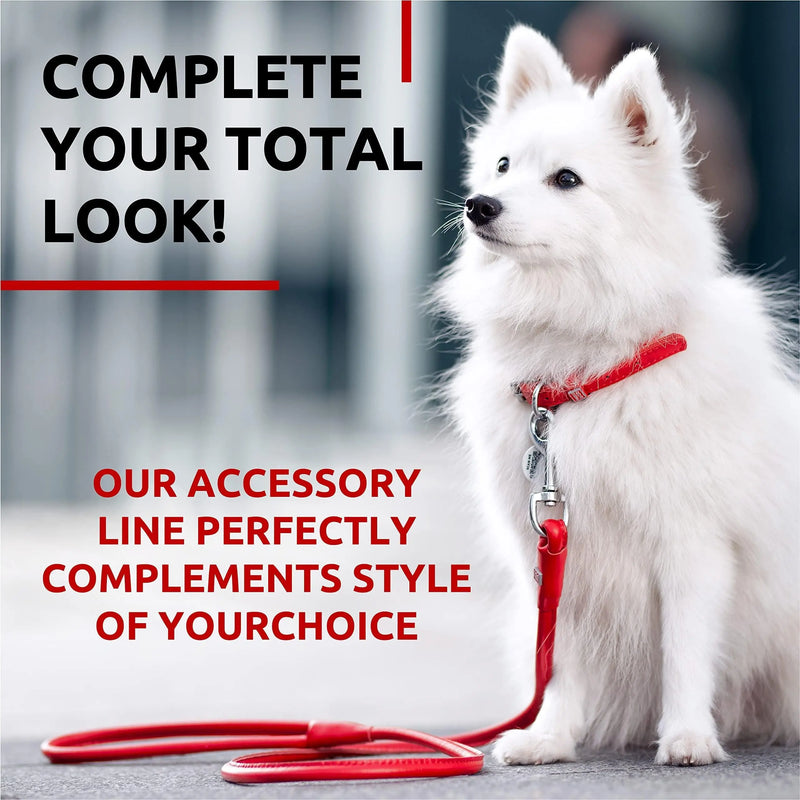 Rolled Leather Dog Leash 4Ft * 0.3 in for Small Medium and Large Dogs   Heavy Duty Leather Puppy Leash for Outdoor Walking Running Training   Strong Dog Leashes for Large Breed Dogs (Red) Waudog