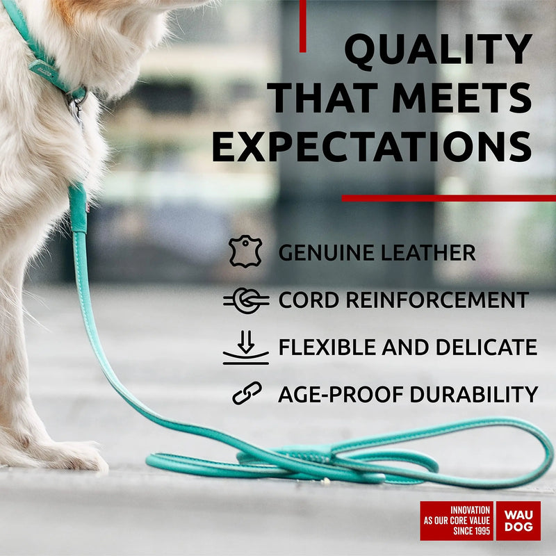 Rolled Leather Dog Leash 4Ft * 0.4 in for Small Medium and Large Dogs   Heavy Duty Leather Puppy Leash for Outdoor Walking Running Training   Strong Dog Leashes for Large Breed Dogs (Mint) Waudog