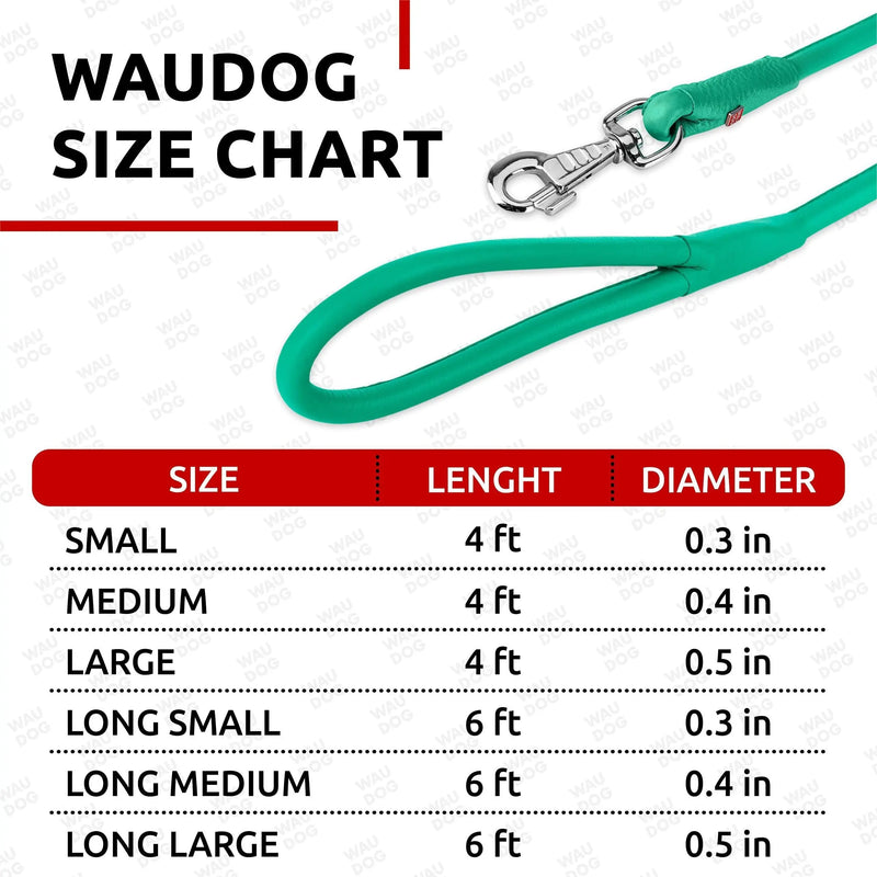 Rolled Leather Dog Leash 4Ft * 0.4 in for Small Medium and Large Dogs   Heavy Duty Leather Puppy Leash for Outdoor Walking Running Training   Strong Dog Leashes for Large Breed Dogs (Mint) Waudog