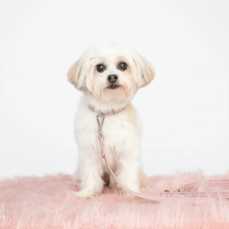 Rose Pink Cork Leather Collar DIPHDA