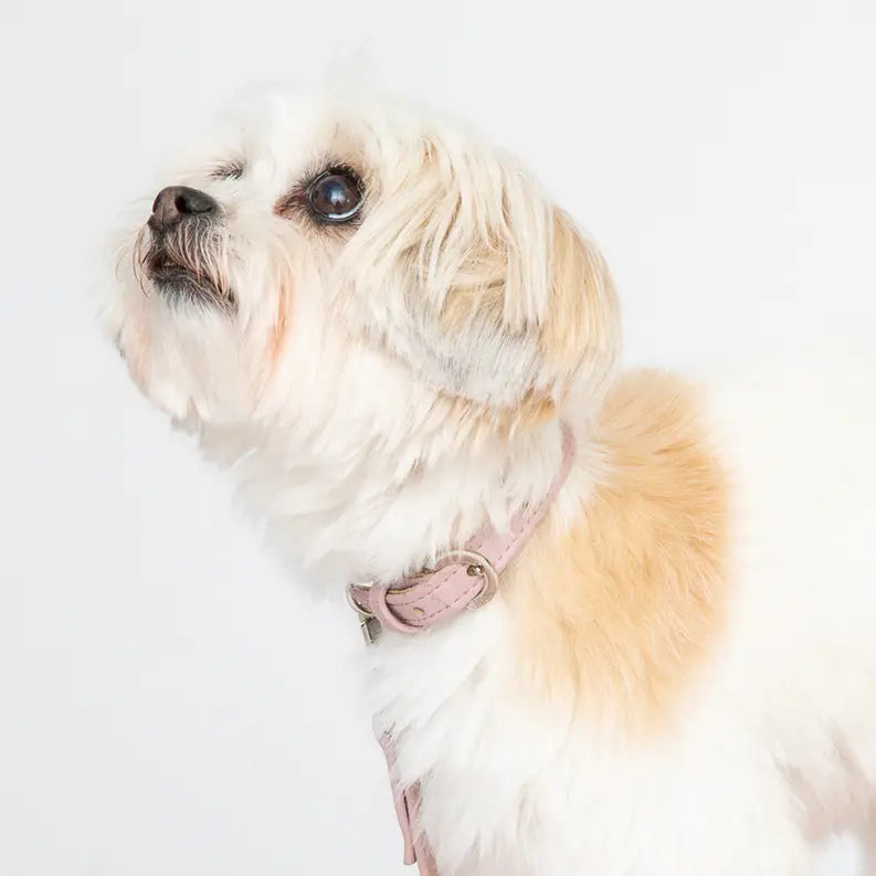 Rose Pink Cork Leather Collar DIPHDA