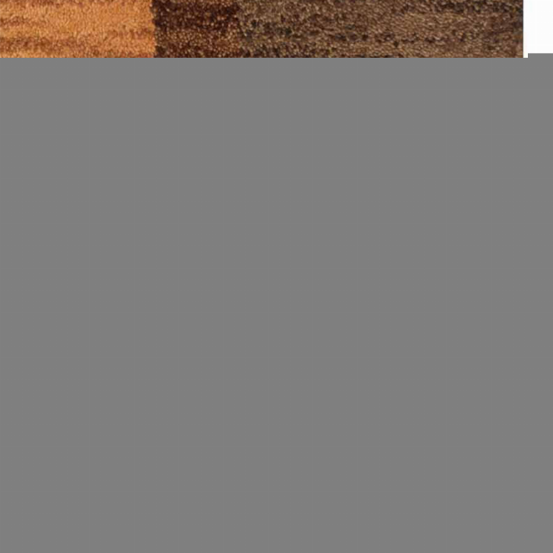 Rugsotic Carpets Hand Knotted Wool Area Rug Floral Get My Rugs LLC