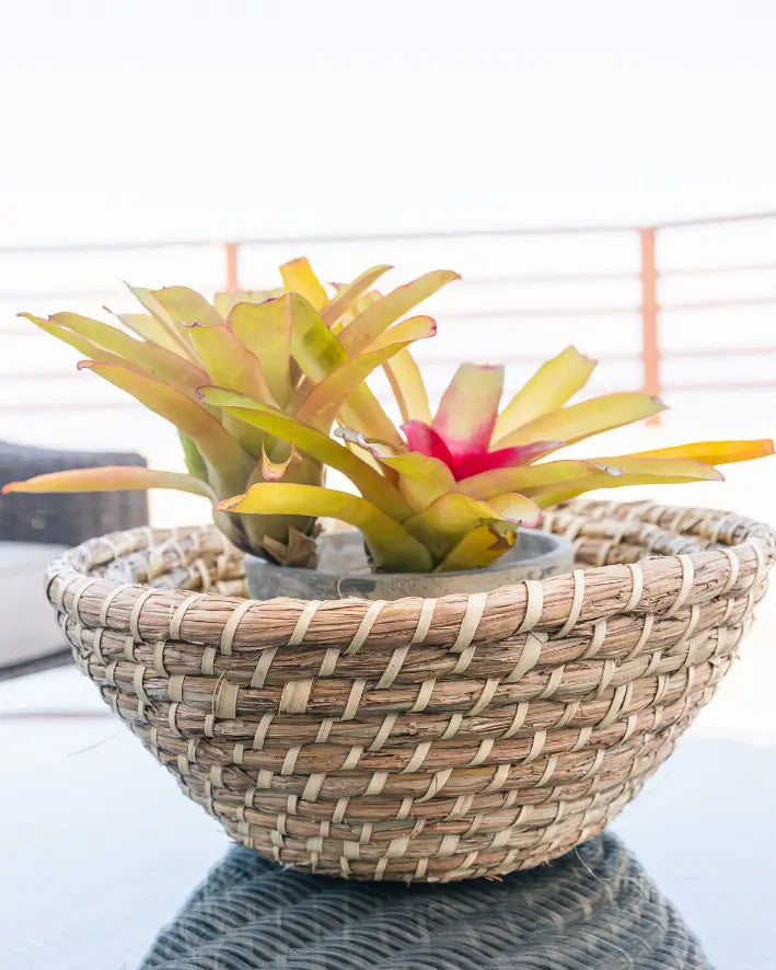 Rustic Woven Bowl Vi Bella