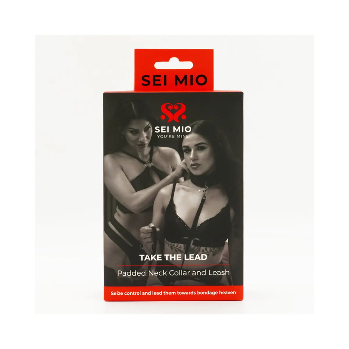 SEI MIO Take the Lead Padded Neck Collar and Leash Creative Conceptions