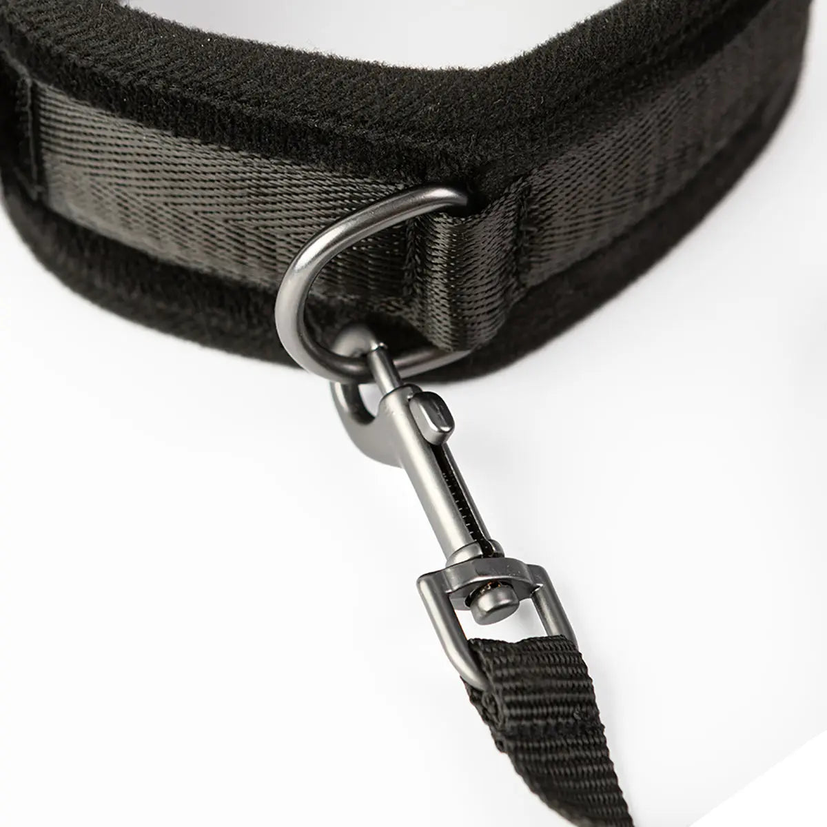 SEI MIO Take the Lead Padded Neck Collar and Leash Creative Conceptions