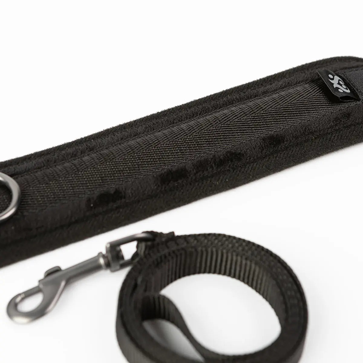 SEI MIO Take the Lead Padded Neck Collar and Leash Creative Conceptions
