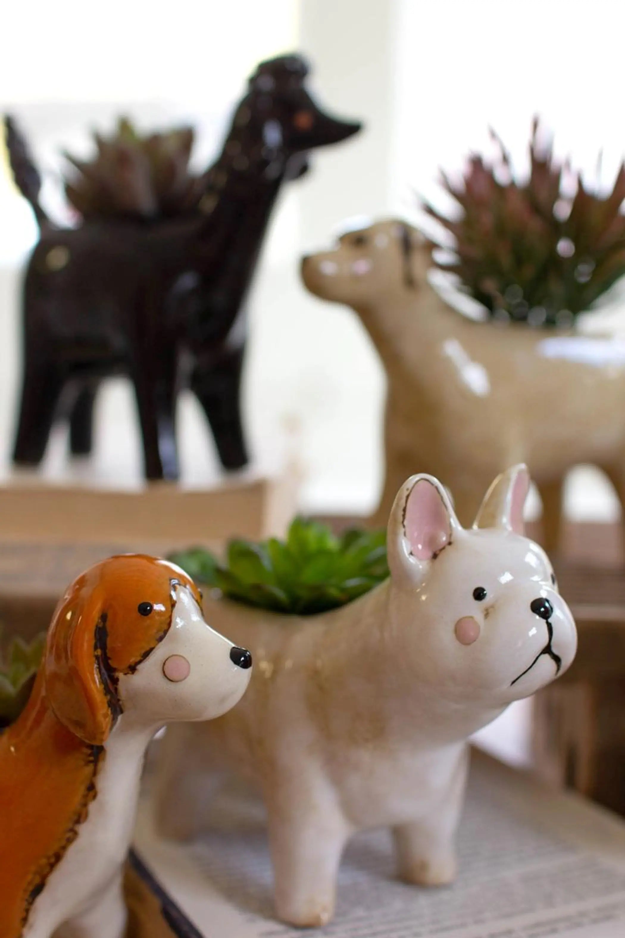 SET OF FIVE CERAMIC DOG PLANTERS Kalalou