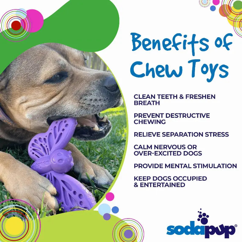 SP Butterfly Chew and Enrichment Toy SodaPup