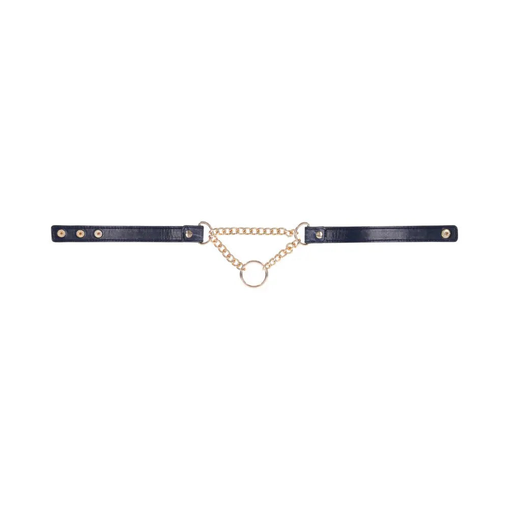SS S&M Cougar Day Collar - GreatEagleInc