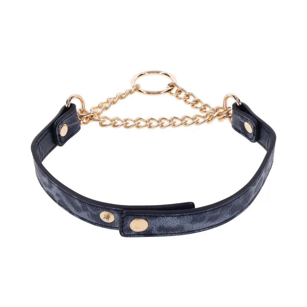 SS S&M Cougar Day Collar - GreatEagleInc