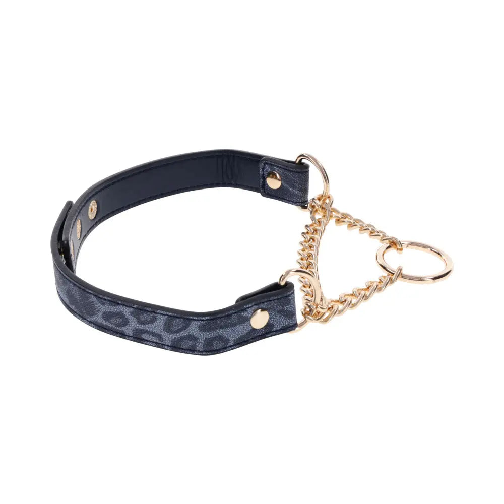SS S&M Cougar Day Collar - GreatEagleInc
