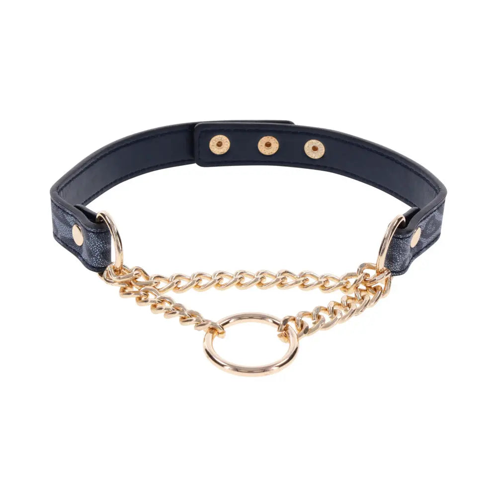 SS S&M Cougar Day Collar - GreatEagleInc