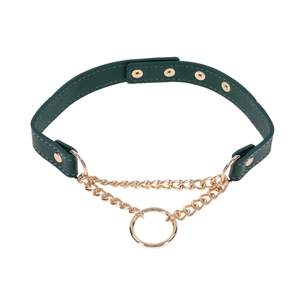 SS S&M Indica Day Collar Sportsheets
