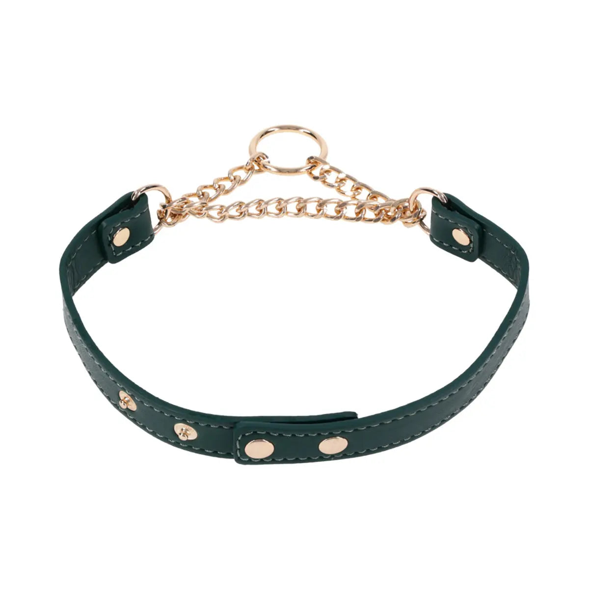 SS S&M Indica Day Collar Sportsheets
