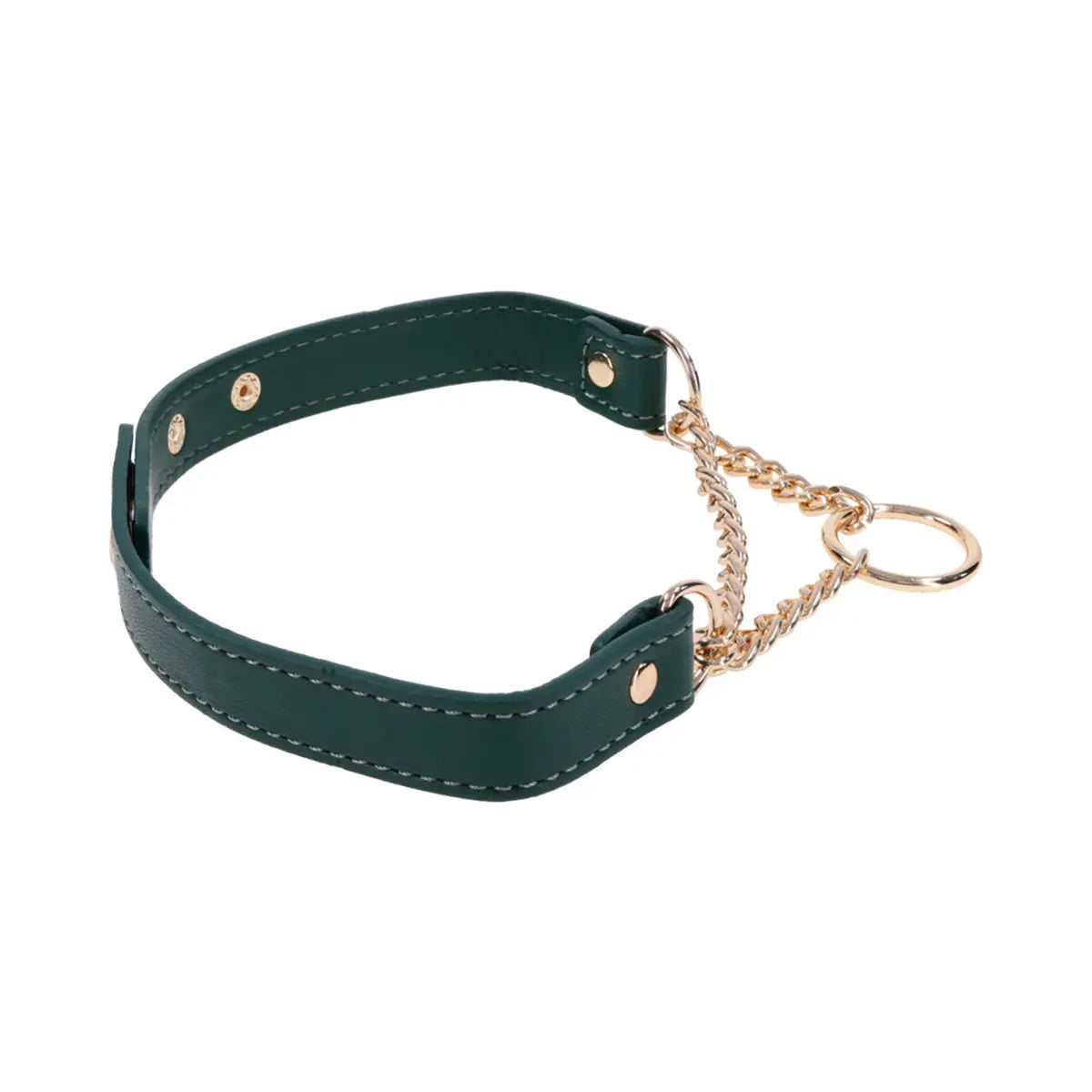 SS S&M Indica Day Collar Sportsheets