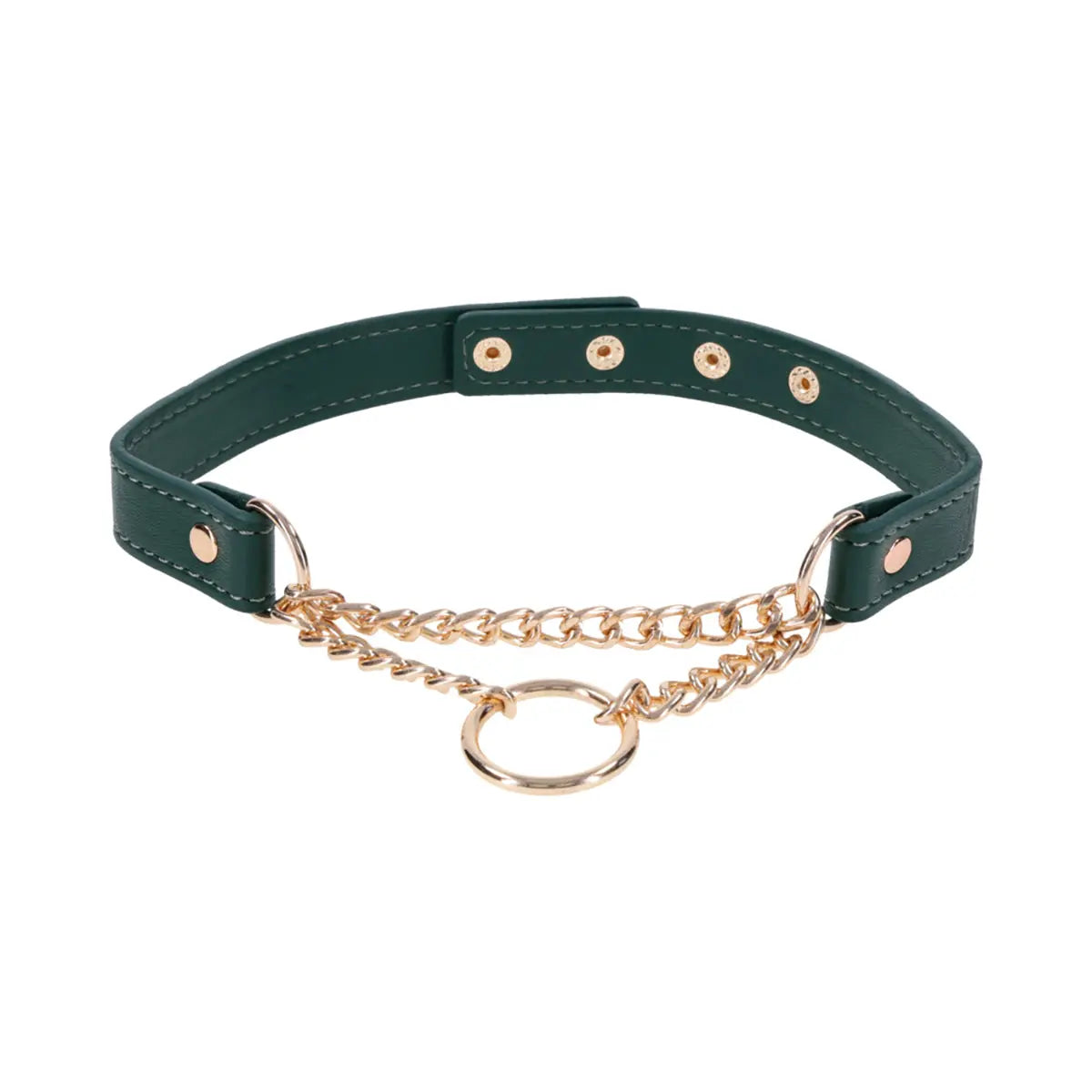 SS S&M Indica Day Collar Sportsheets