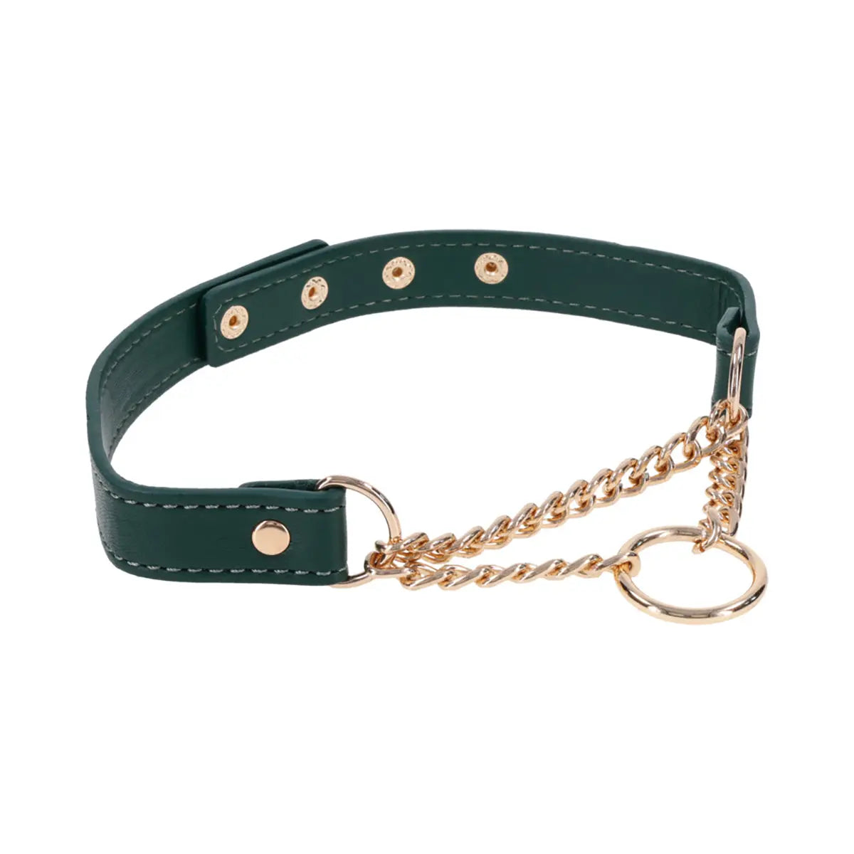 SS S&M Indica Day Collar Sportsheets