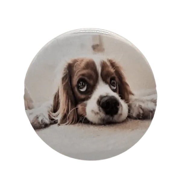 Sad Dog Bravo Buttons