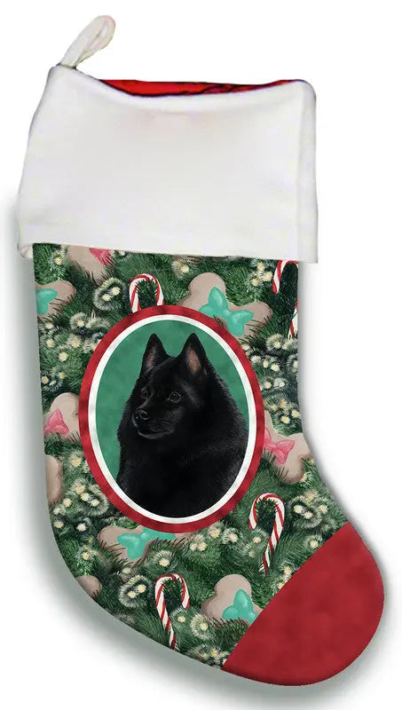 Schipperke- Best of Breed Christmas Stocking Best of Breed