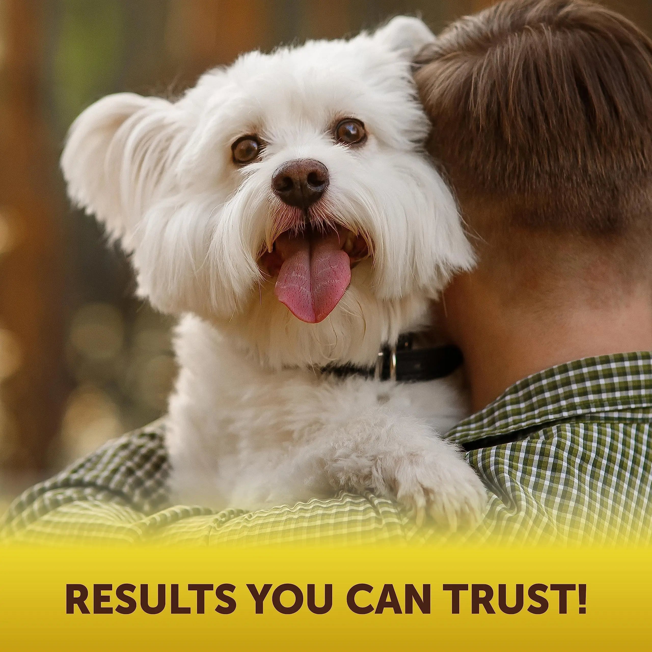 Scoot Stopper Dog Soft Chews w/Fiber - Stool Hardener for Dog Anal Gland Treatment, Digestion Support -180 Tasty Chews w/Natural Flaxseed, Pumpkin and Psyllium Husk for Dog Comfort Kinpur Pet Care