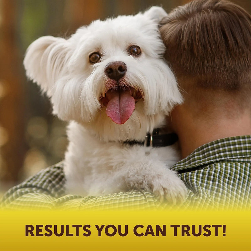 Scoot Stopper Dog Soft Chews w/Fiber - Stool Hardener for Dog Anal Gland Treatment, Digestion Support -180 Tasty Chews w/Natural Flaxseed, Pumpkin and Psyllium Husk for Dog Comfort Kinpur Pet Care