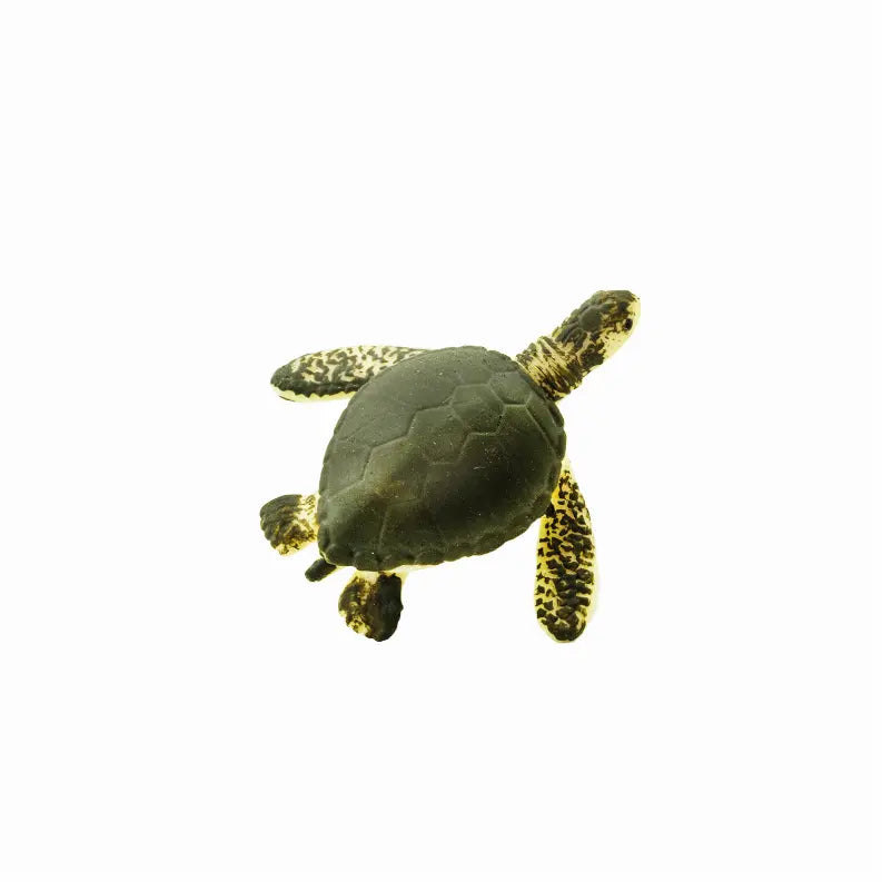 Sea Turtles Safari LTD