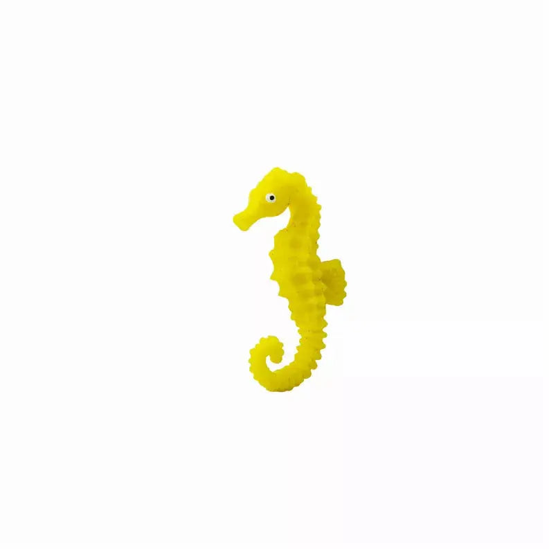 Seahorses Safari LTD
