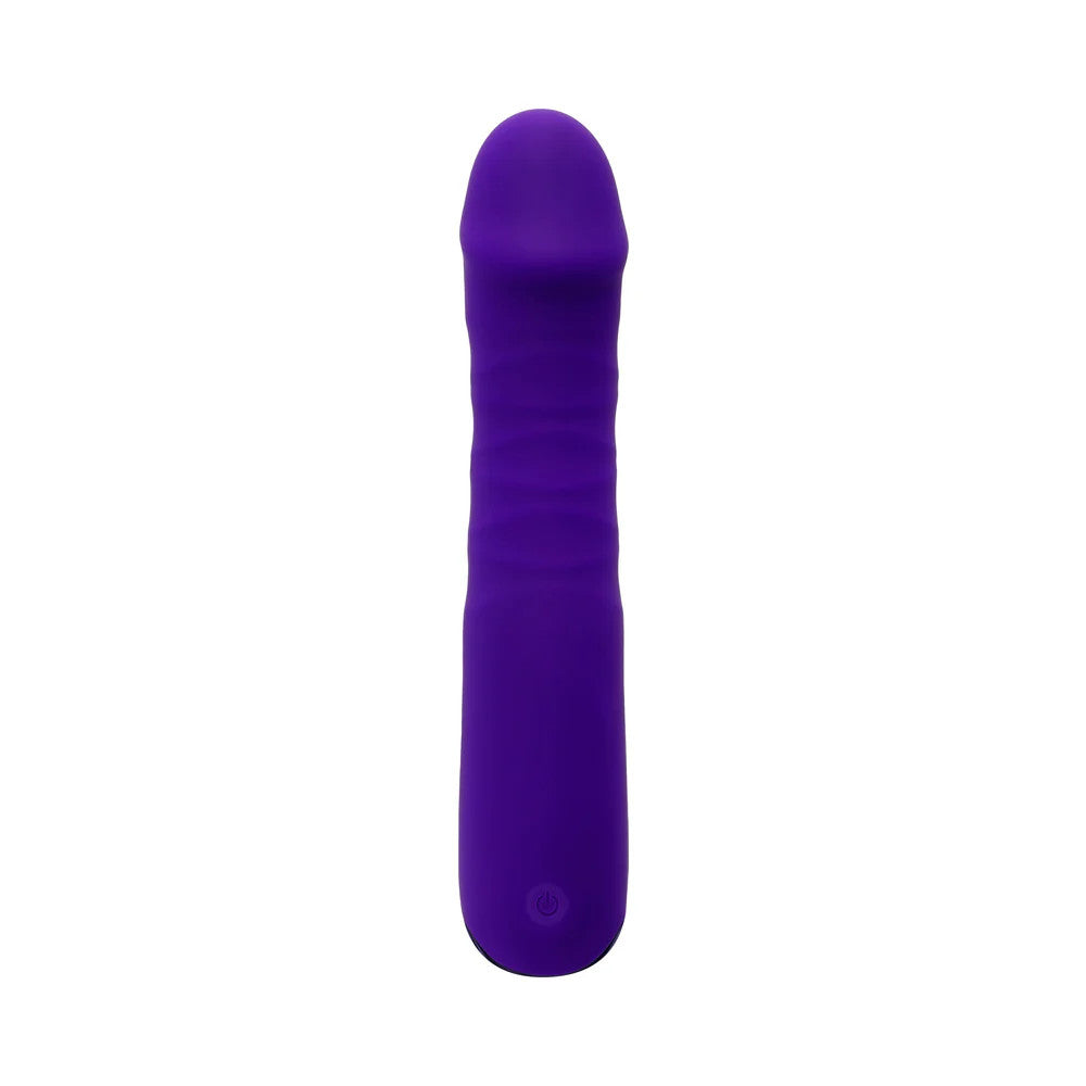 Selopa Ambition Evolved Novelties