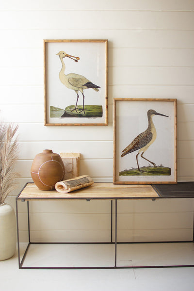 Set Of Two Framed Shorebirds Under Glass Kalalou