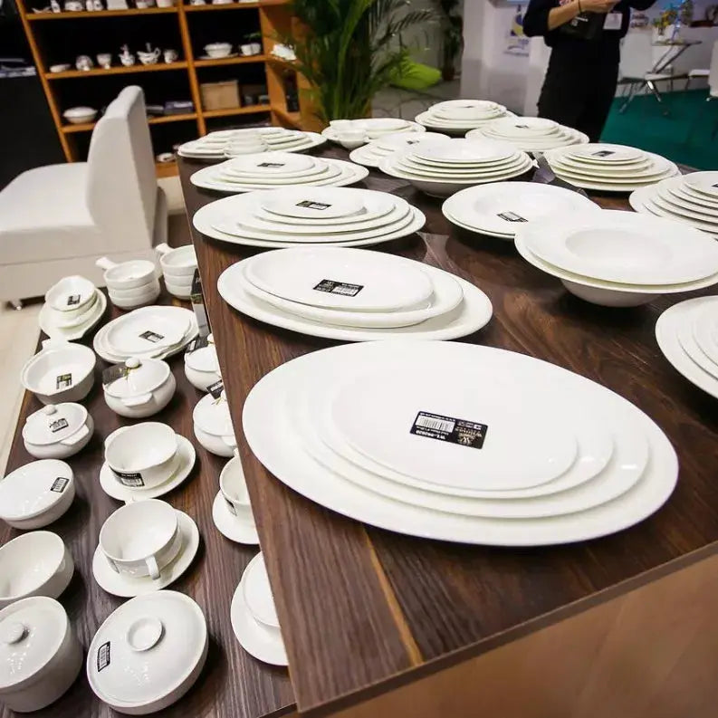 [ Set of 6 ] ROLLED RIM DINNER PLATE 10" | 25.5 CM Wilmax