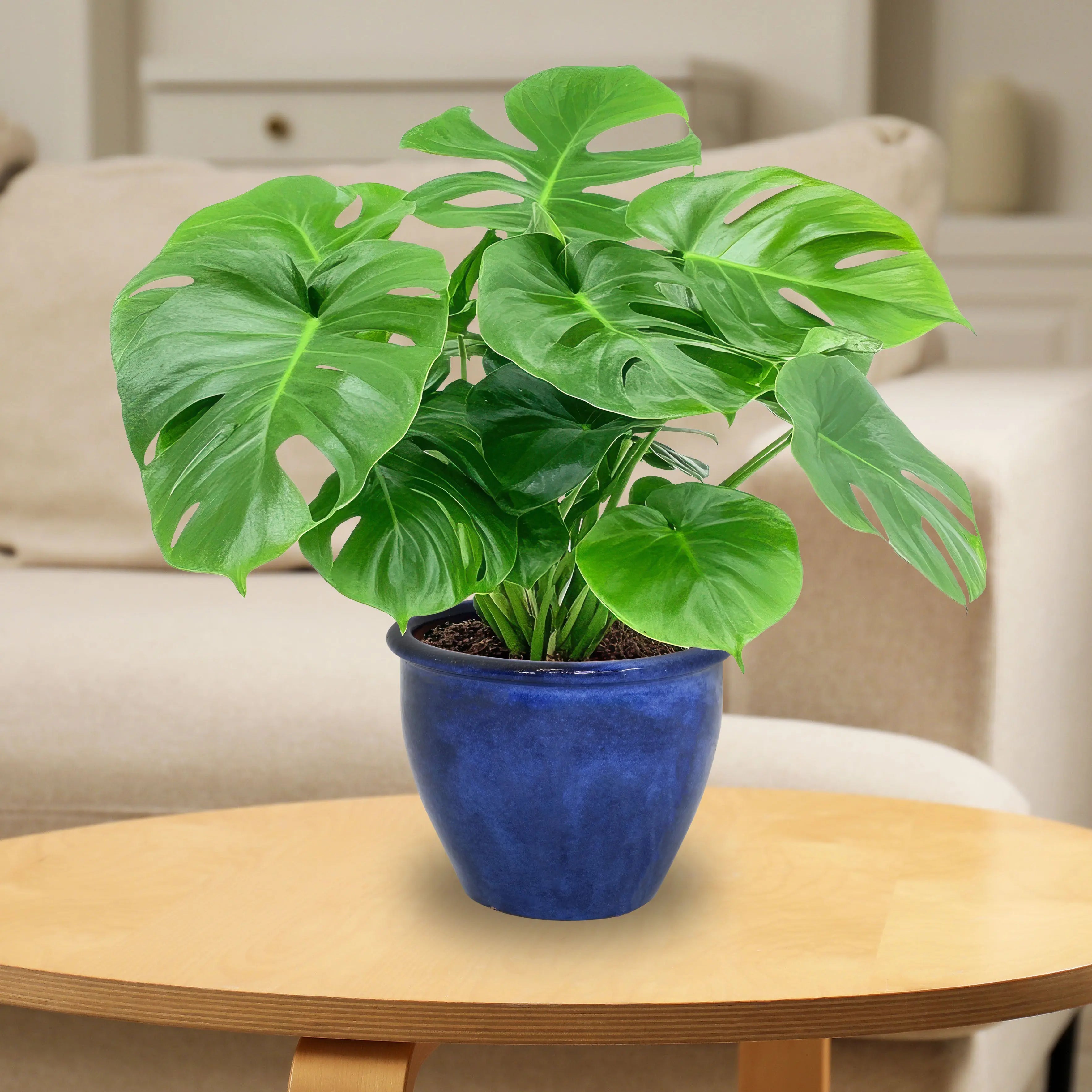 Set of Two Dark Blue Ceramic Round Pot Planter Homeroots Outdoor