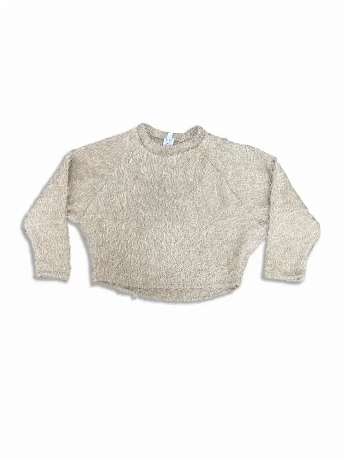 Shaggy Boxy Pullover Tru Luv