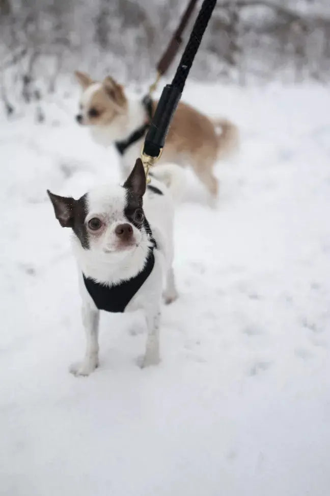 Shearling Fur Grip Bonne et Filou