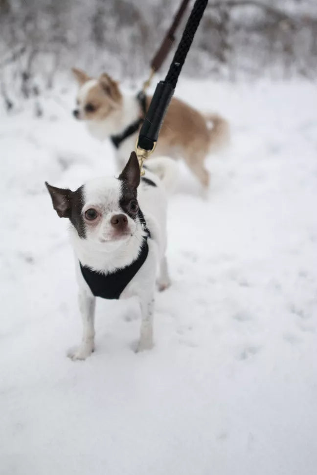 Shearling Fur Grip Bonne et Filou