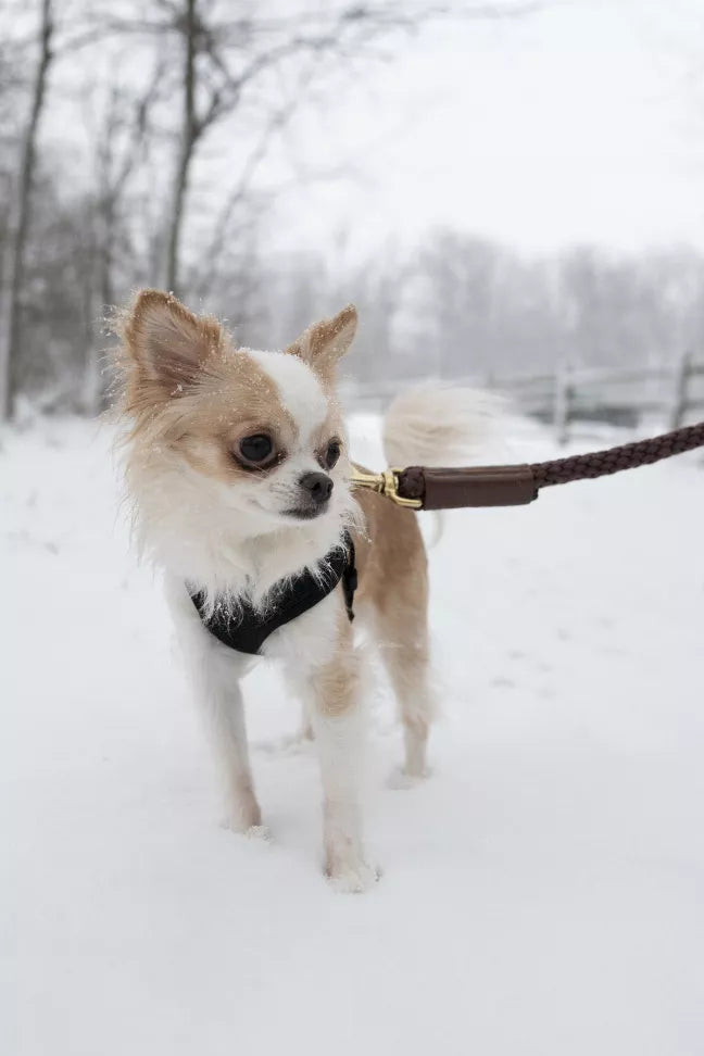 Shearling Fur Grip Bonne et Filou