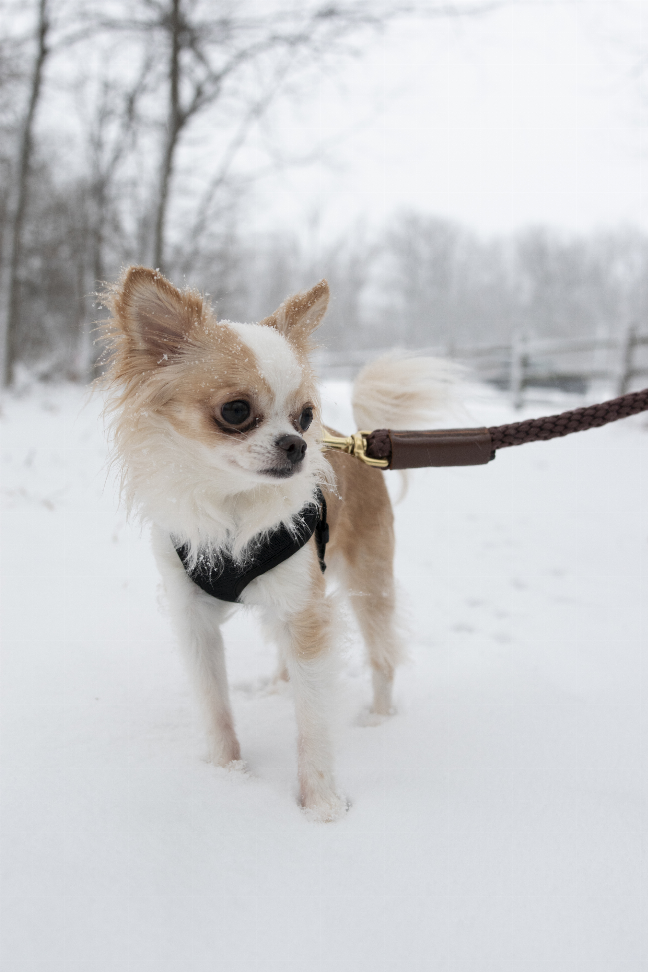 Shearling Fur Grip Bonne et Filou