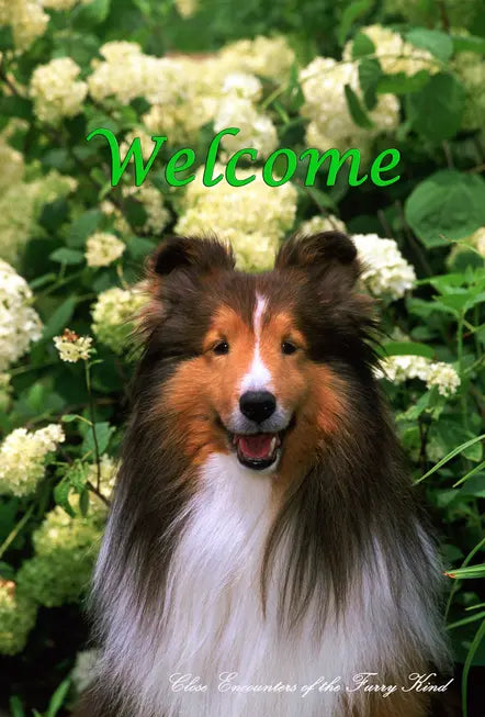 Sheltie - Close Encounters of the Furry Kind Welcome  House and Garden Flags Best of Breed