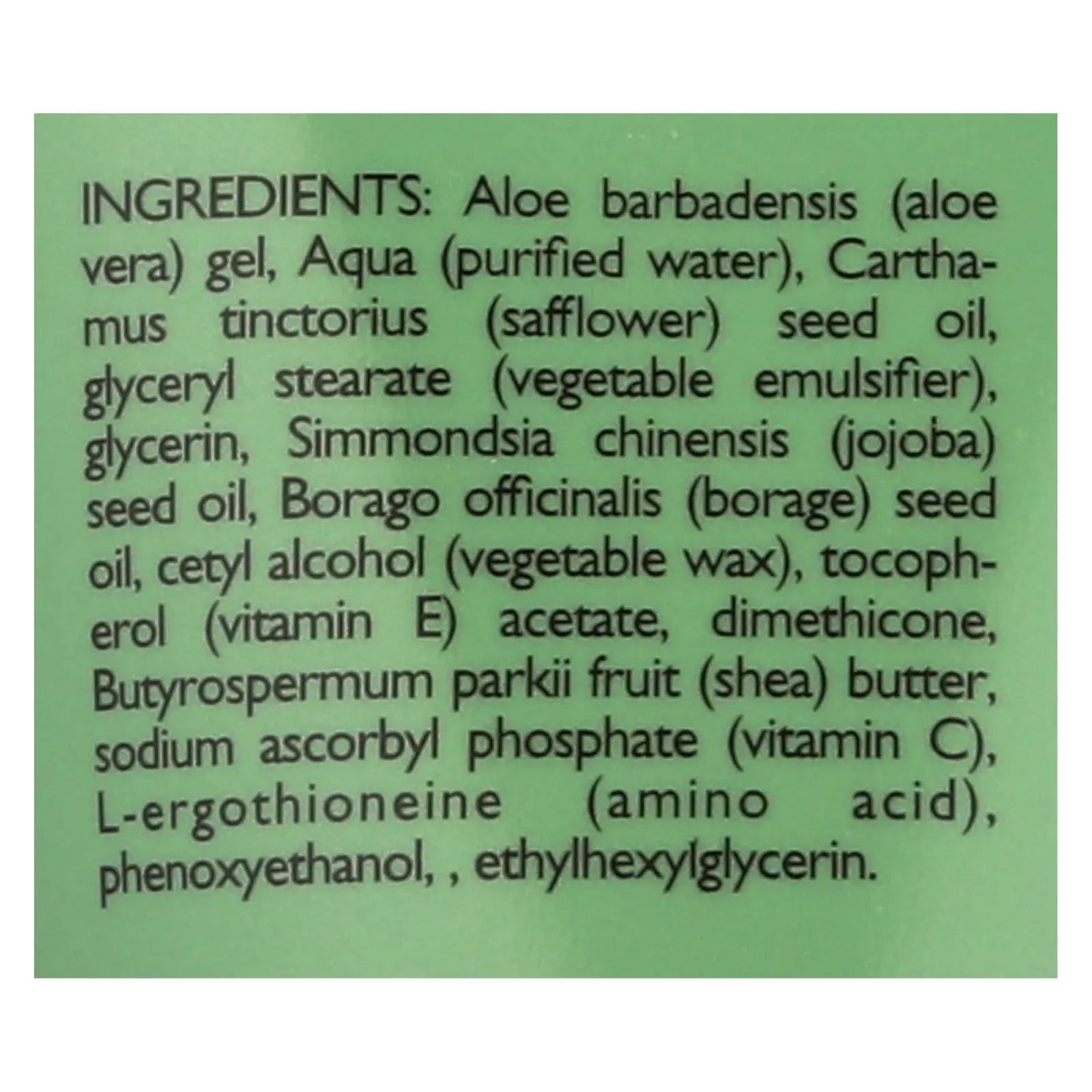 Shikai Borage Therapy Foot Cream Unscented - 4.2 Fl Oz Shikai Products