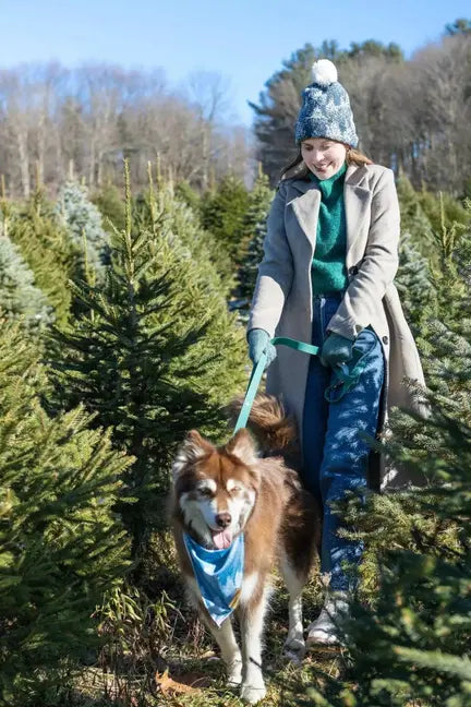 Siberian Spruce Dog Bandana Aria the Fox