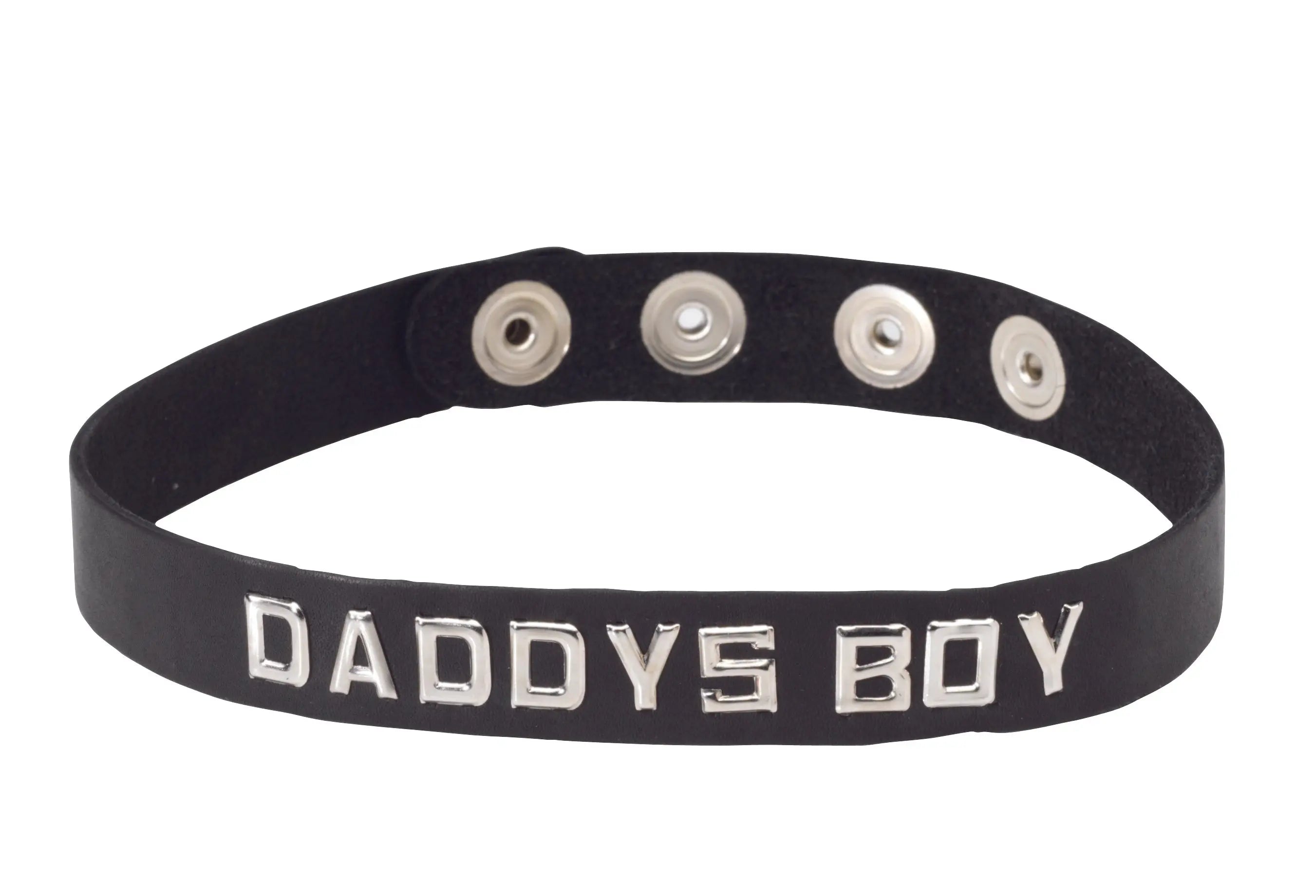 Sm Collar-daddys Boy Spartacus