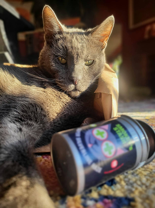Smokey's Stash Silvervine Haze Potent Catnip and Silver Vine Smokey's Stash