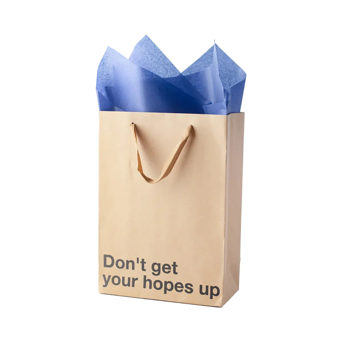 Snarky Gift Bags Don't Get Your Hopes Up 3pk Wood Rocket