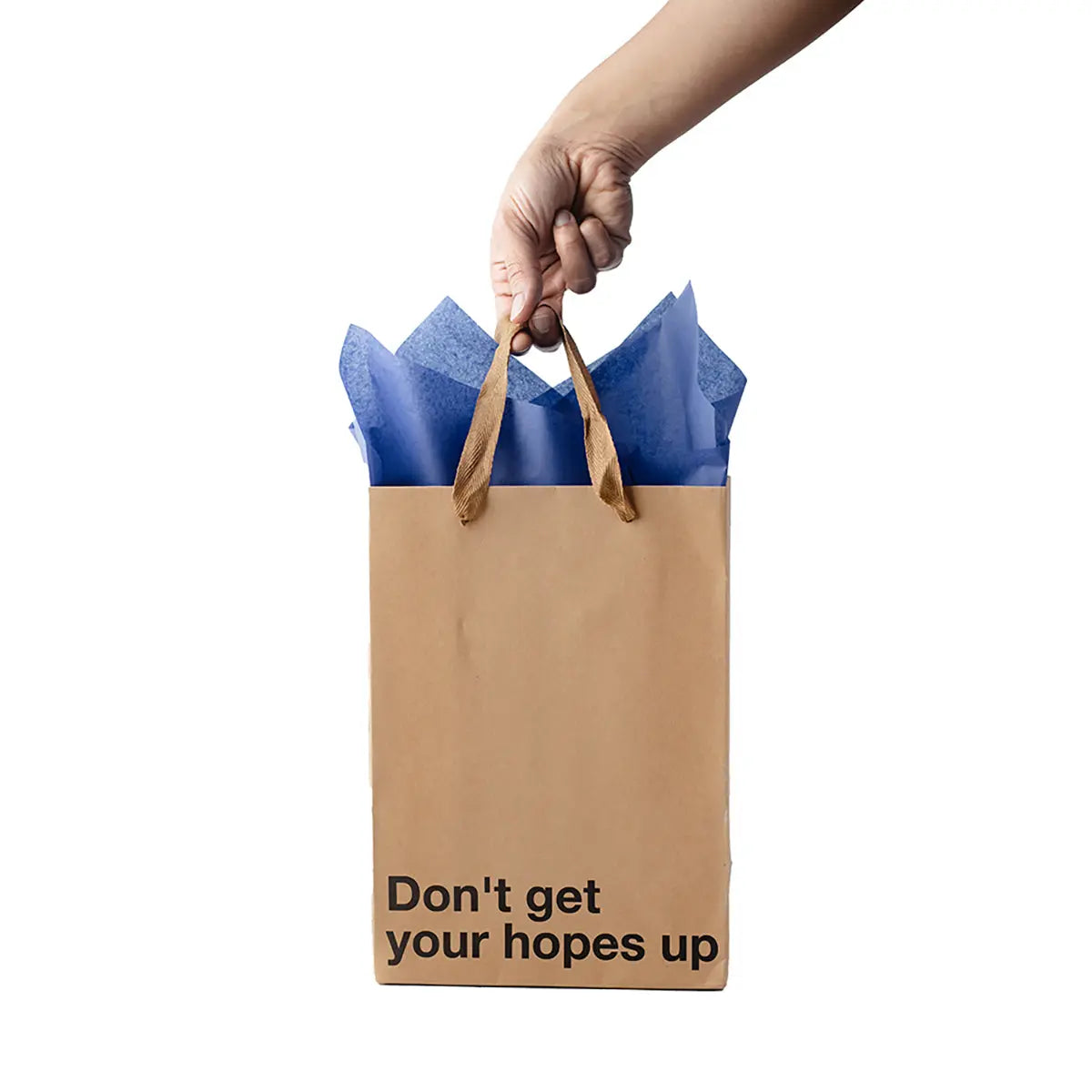 Snarky Gift Bags Don't Get Your Hopes Up 3pk Wood Rocket