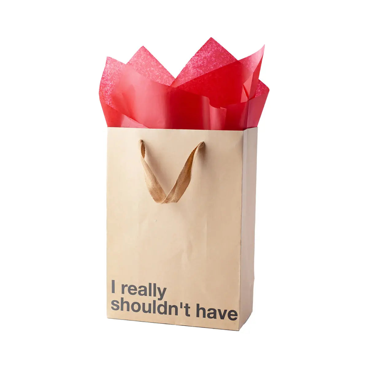 Snarky Gift Bags I Really Shouldn't Have 3pk Wood Rocket