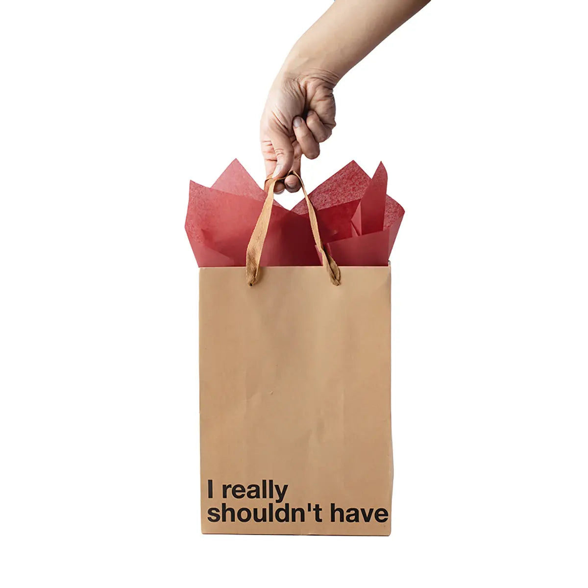 Snarky Gift Bags I Really Shouldn't Have 3pk Wood Rocket